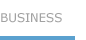 BUSINESS